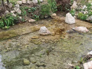 Horti di Porta Paldi - Parco Storico