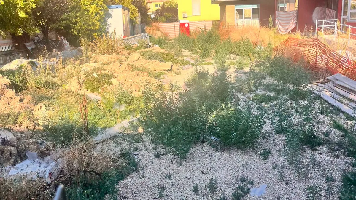 Scuola “Pio Di Meo”, l’ANSMI chiede verifiche urgenti sul cantiere PNRR