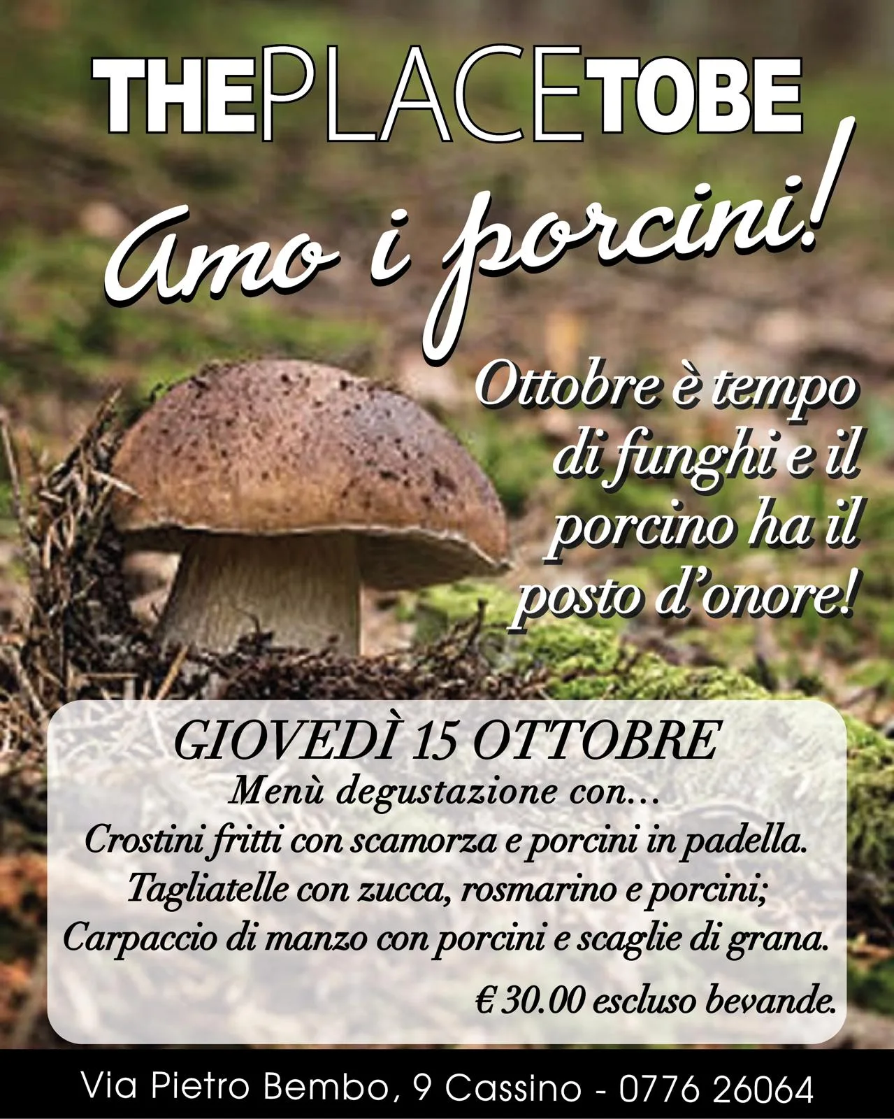 The Place ToBe.... Amo i Porcini