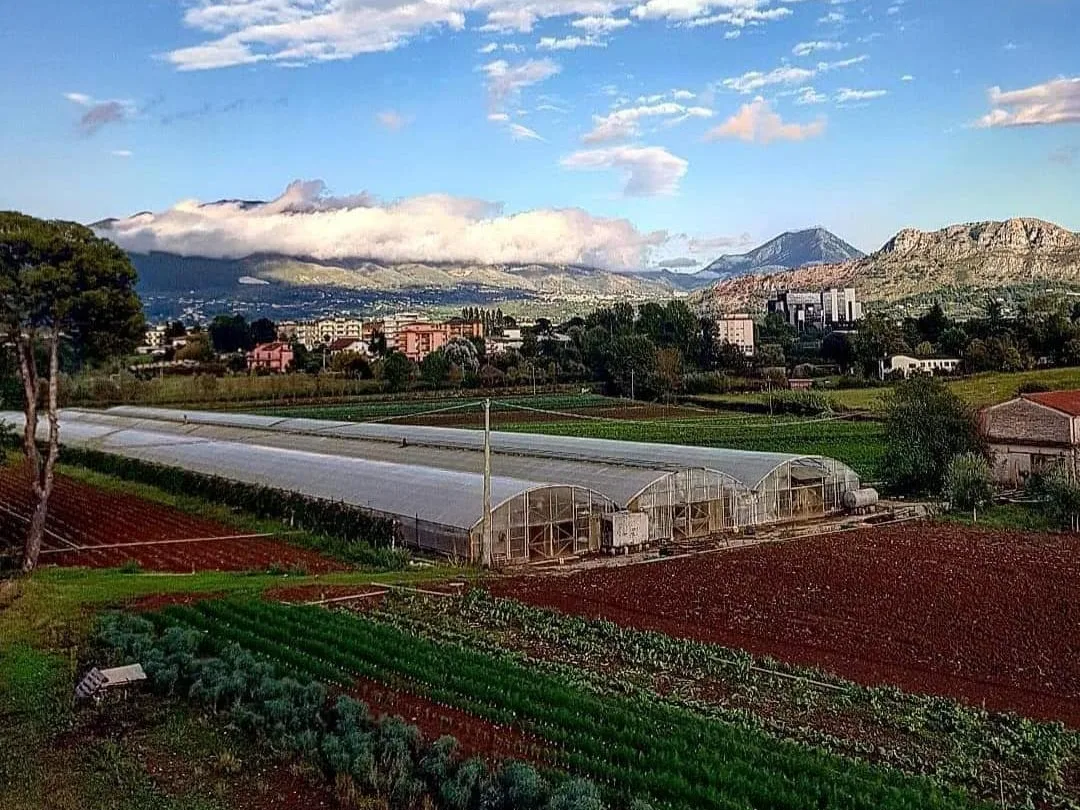 Ortofrutta Di Vizio