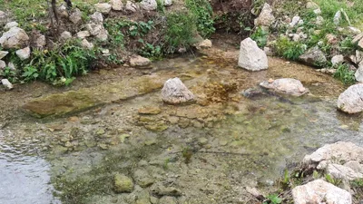 Listino — Horti Porta Paldi