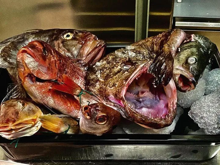 Ristorante IL BORGO