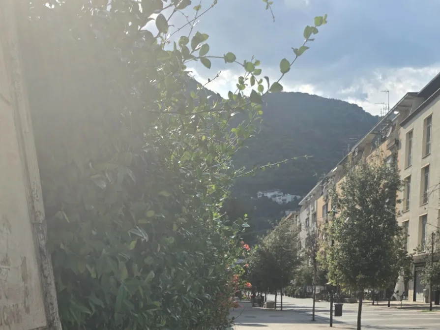 Verde urbano, segnaletica e marciapiedi da liberare