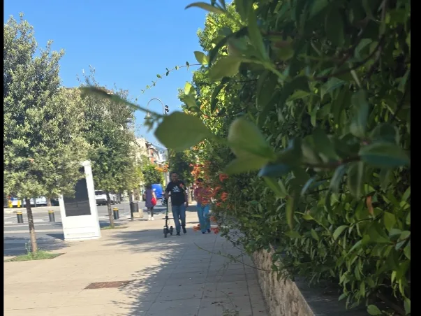 Verde urbano, segnaletica e marciapiedi da liberare