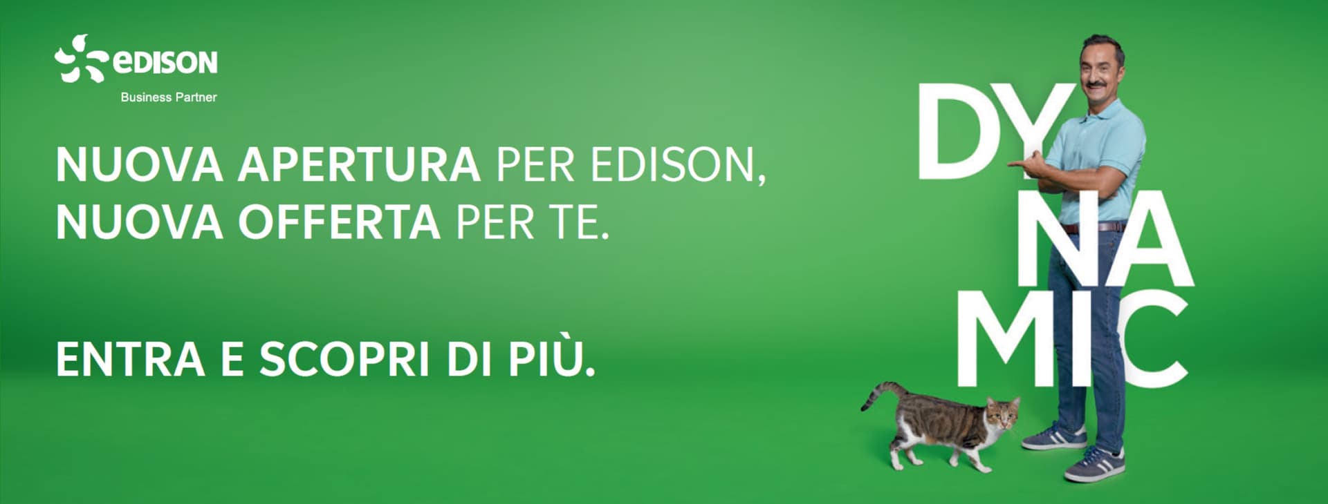 Punto Edison