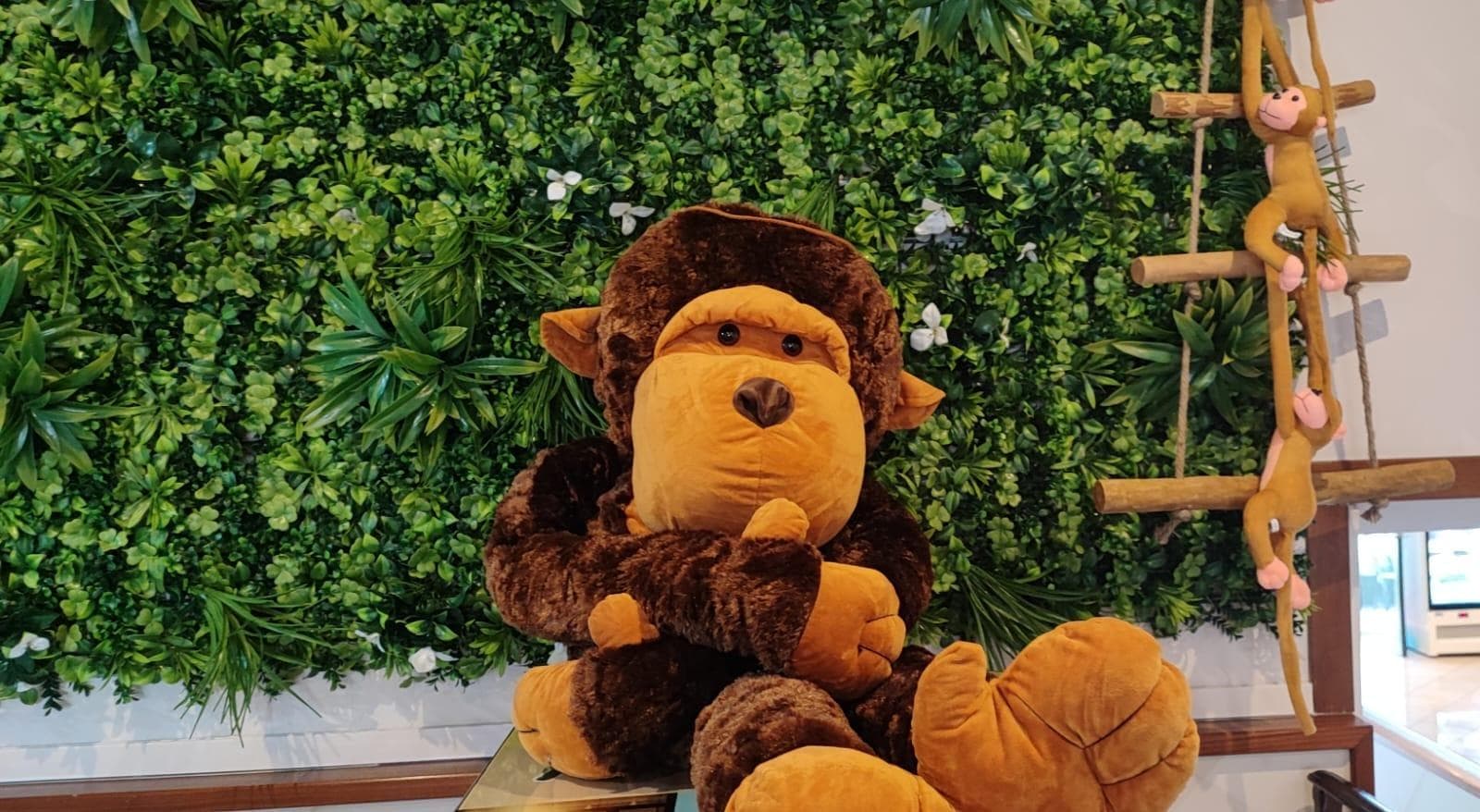 Monkey Lounge Bar