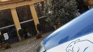 Lite tra pastori, uomo aggredito con un bastone 