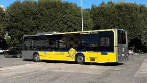Frosinone-Venezia, tornano Brt e navette