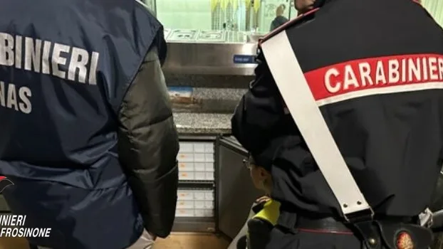 Alatri – Controlli dei carabinieri per la sicurezza alimentare, sequestrati 40 Kg di cibo scaduto