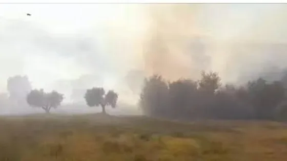 Fiamme lungo la linea ferroviaria Roma-Cassino: treni bloccati e pesanti ritardi