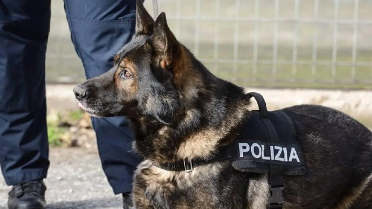 “Scuole Sicure”, controlli della Polizia a Fiuggi: lotta a spaccio, consumo di droga e microcriminalità