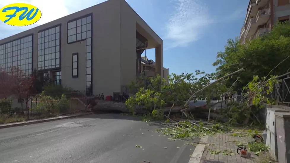 Albero Crolla e Travolge due Studenti