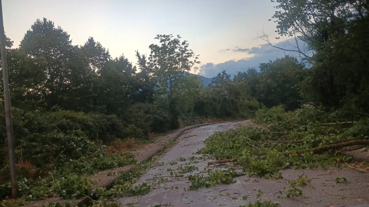 Cervaro (FR) – Nubifragio e tromba d’aria, giù rami e alberi. Danni e allagamenti