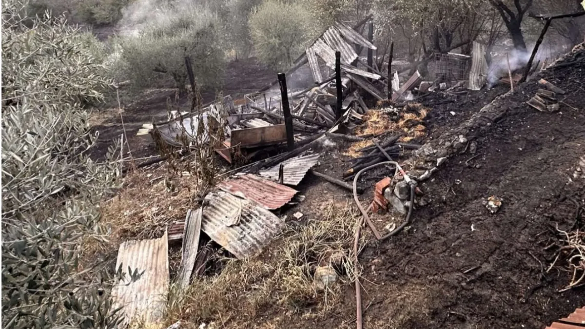 Brucia gli sfalci e scatena un incendio: distrutti sei ettari e una rimessa agricola