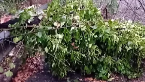 Il maltempo flagella la Ciociaria: strade allagate e alberi caduti