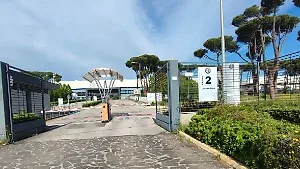 «Stellantis, manca un piano e prospettive»