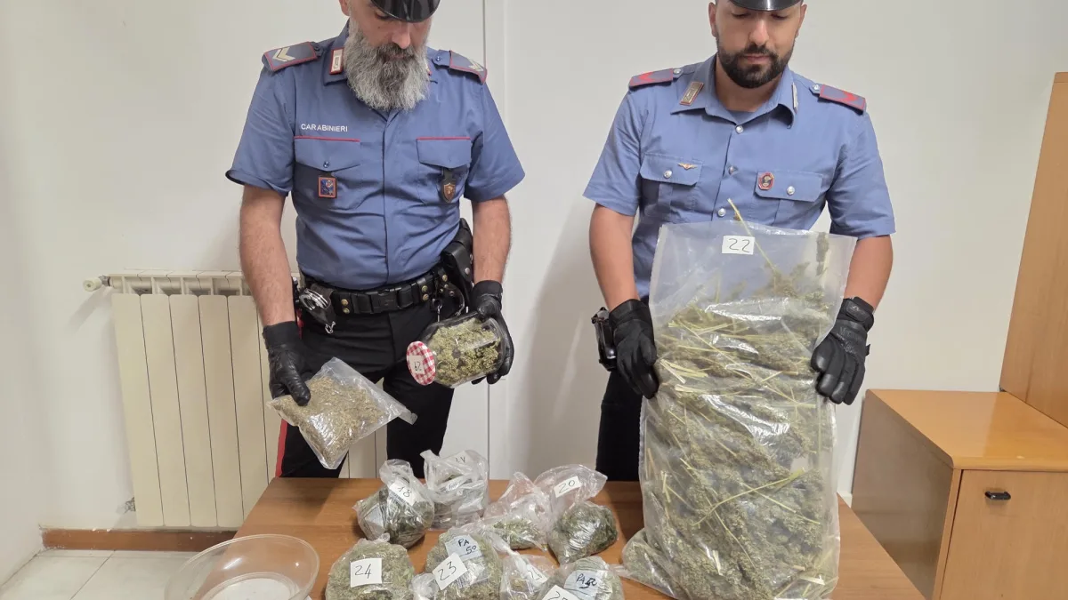 Nettuno  – Serra con piante di cannabis in giardino. Due arresti
