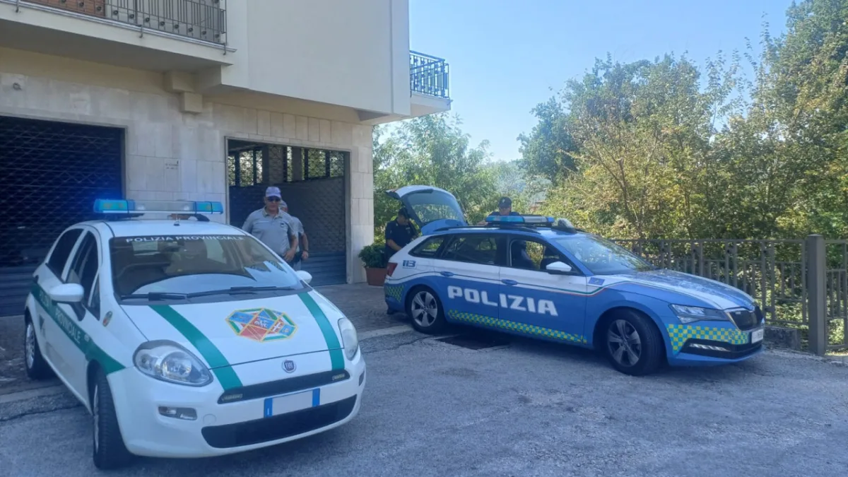 Sicurezza stradale, maxi operazione in Ciociaria: 67 multe e 202 punti tagliati