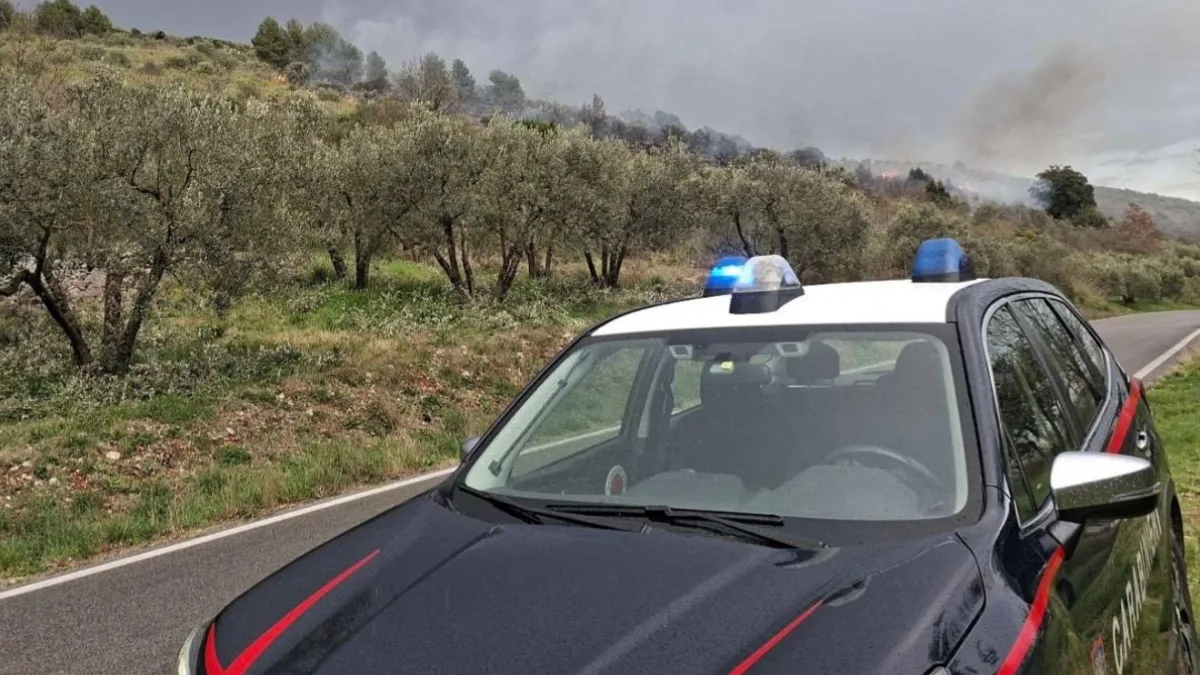 Brucia gli sfalci e provoca un incendio boschivo: il fuoco divora un ettaro di terra