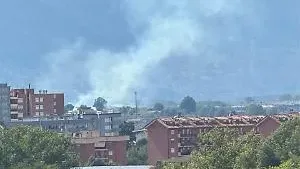 Incendio lambisce le abitazioni, vigili del fuoco sul posto
