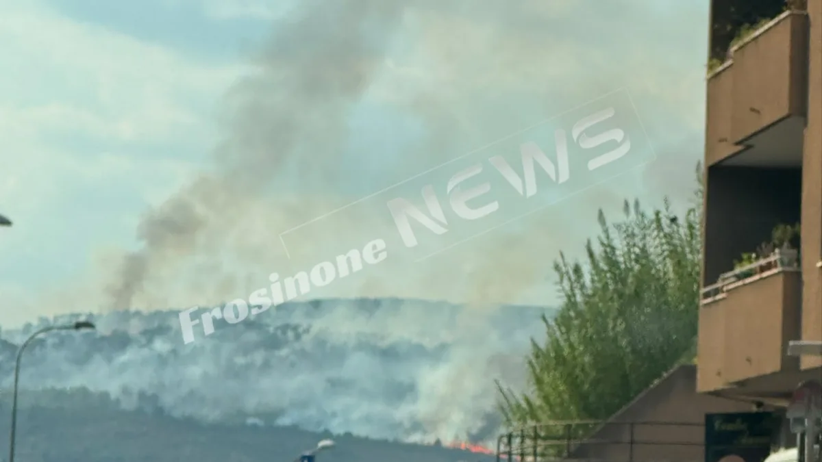 Incendio a Monte S. Giovanni Campano, pineta in fiamme: elicotteri e soccorritori al lavoro per domare il rogo