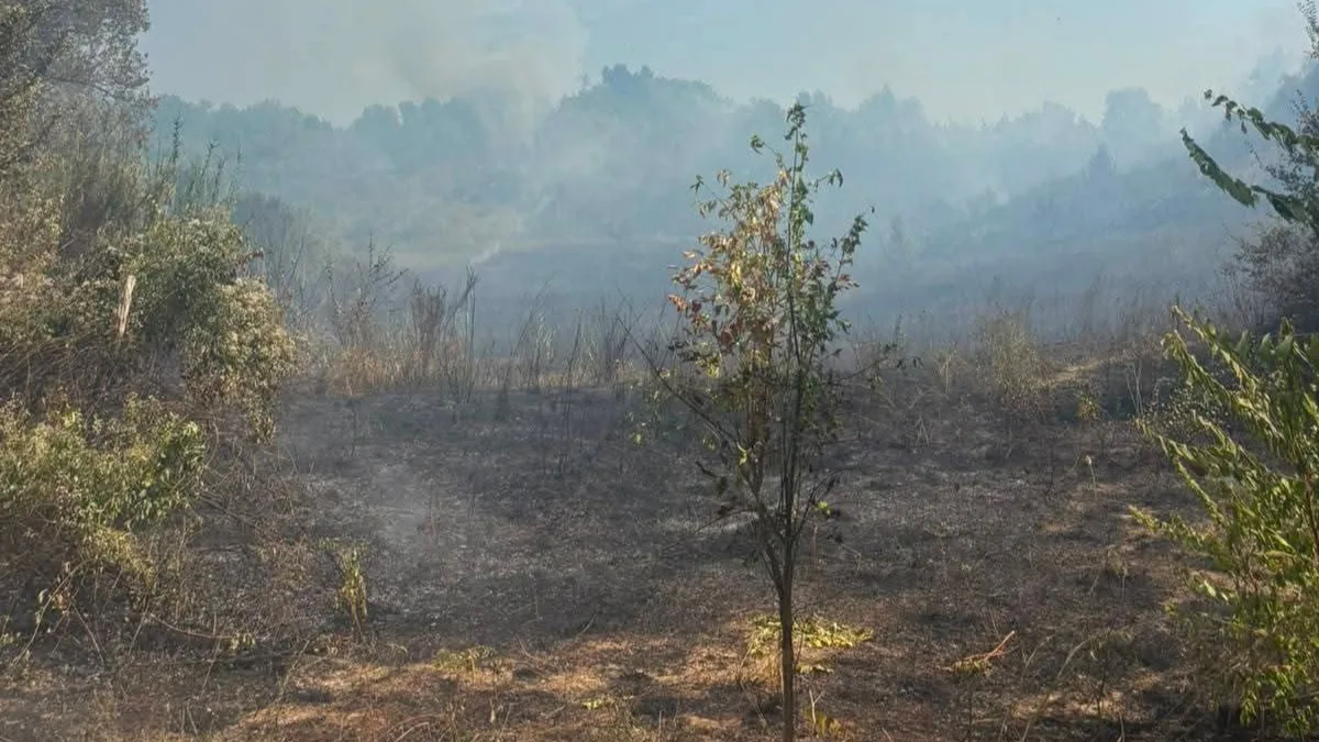 Cassino (FR) – Incendi a San Michele e zona Peola, paura per i residenti