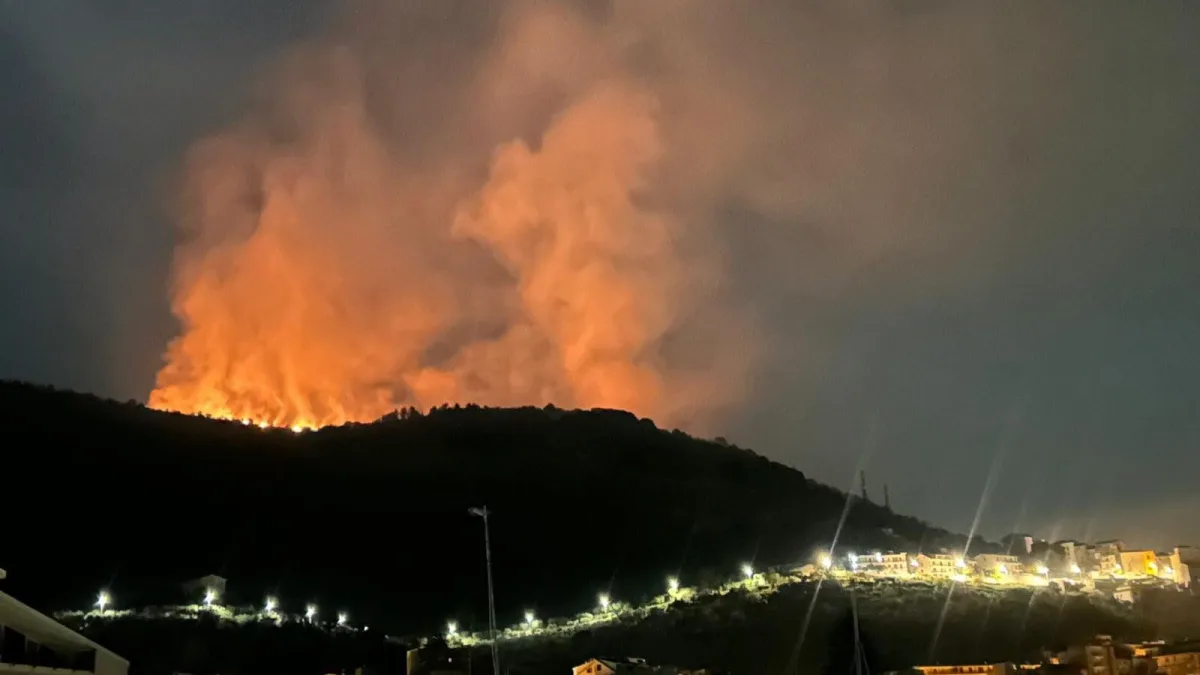 Incendio devasta una pineta: le fiamme bruciano tutta la notte, soccorsi ancora sul posto