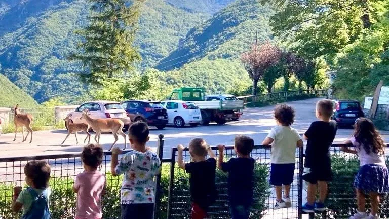 Picinisco – Primo giorno da favola: i cervi ‘fanno visita’ ai bimbi dell’asilo