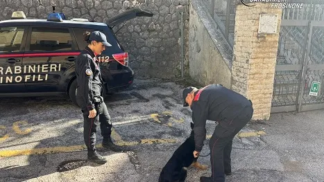 Cassino – Controlli ad Ausonia: violò il divieto di detenere armi, deferito un pensionato