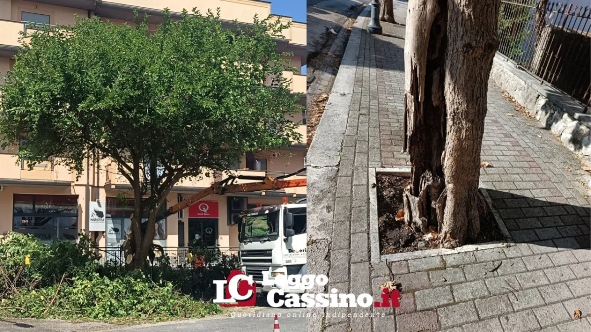 Cassino, svolta sulla manutenzione: oltre 300mila euro l’anno per strade e verde