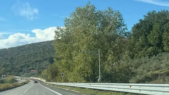 Autovelox non omologato, il giudice annulla la multa