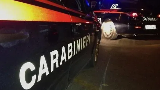 Cinghiale investito sulla Strada per Casamari
