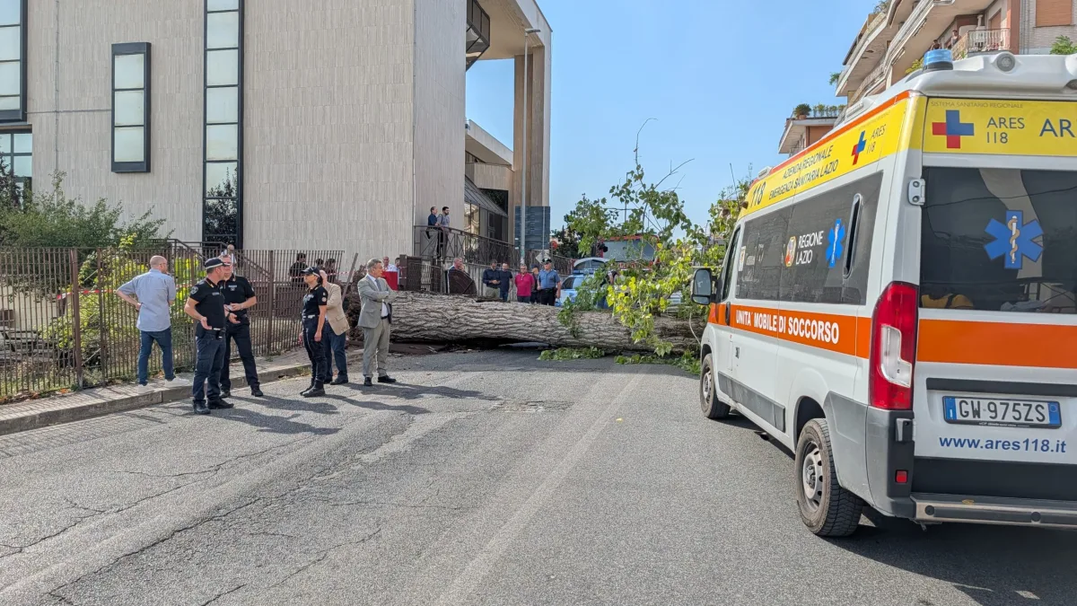 Cassino (FR) – Terrore ad Ingegneria, crolla un albero, feriti due studenti