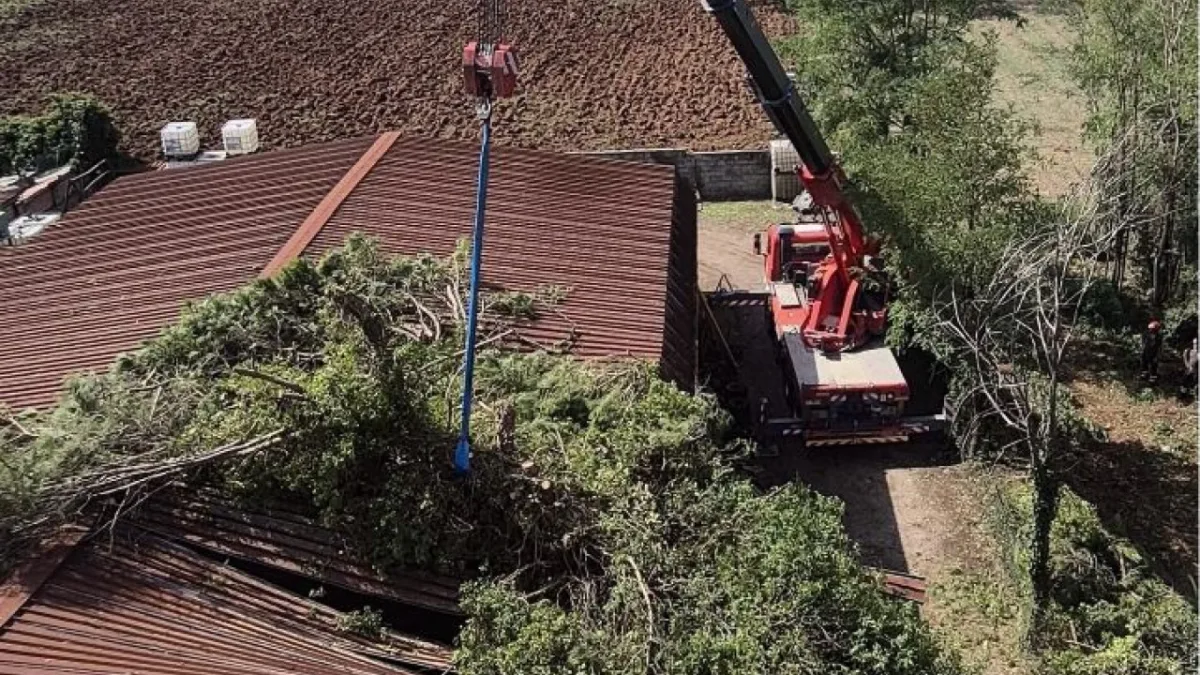 Maltempo nel Cassinate, albero si abbatte su un capannone: 15 interventi dei Vigili del Fuoco