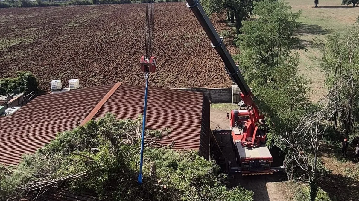 Piedimonte San Germano (FR) – Maltempo, albero crolla su un capannone. Gli interventi