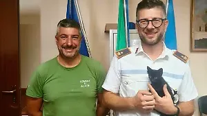 Gattino nel cofano, la Polizia Locale lo salva