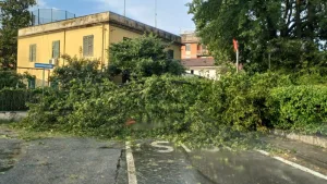 Ambiente, l'appello: «Serve una strategia per il clima»