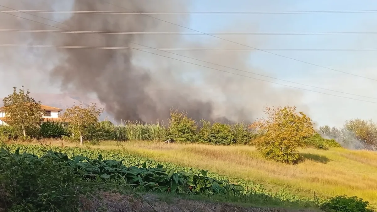 Pontecorvo (FR) – Brucia la zona Vallario, il vasto incendio lambisce strutture agricole e abitazioni