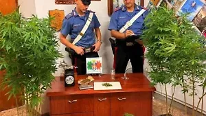 Scoperta una serra clandestina per la marijuana: arrestato un uomo