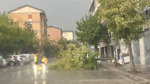 Bomba d'acqua su Cassino, strade allagate e rami spezzati