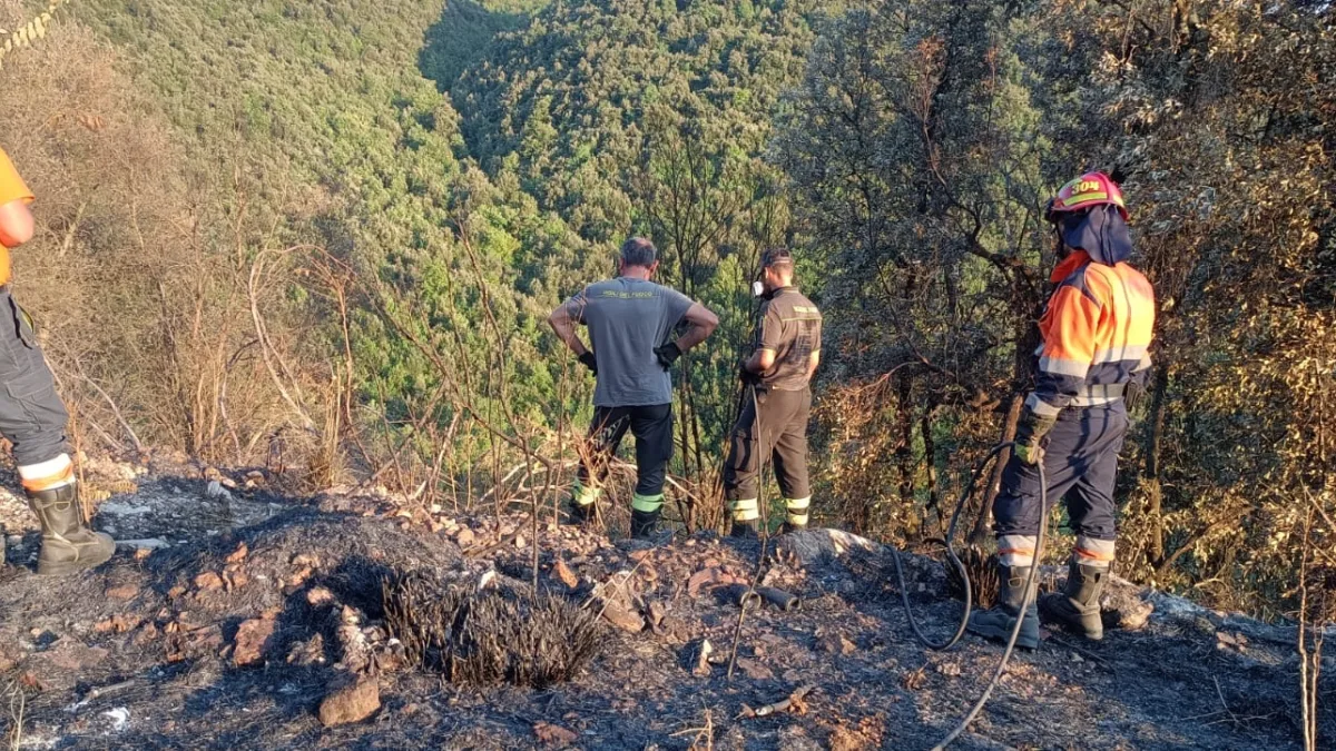 Incendi domati tra Colfelice e Rocca d’Arce: decisivo il lavoro dei soccorritori