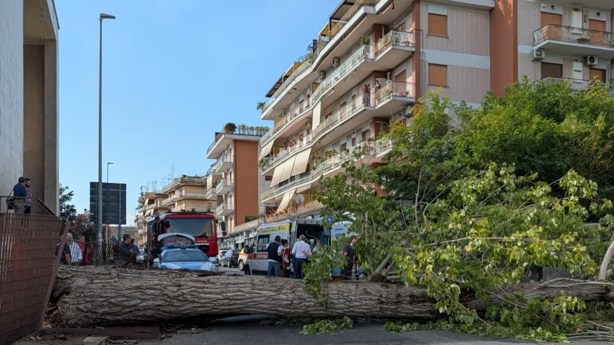 Cassino (FR) – Crollo dell’albero ad Ingegneria, il rettore in ospedale accanto agli studenti feriti