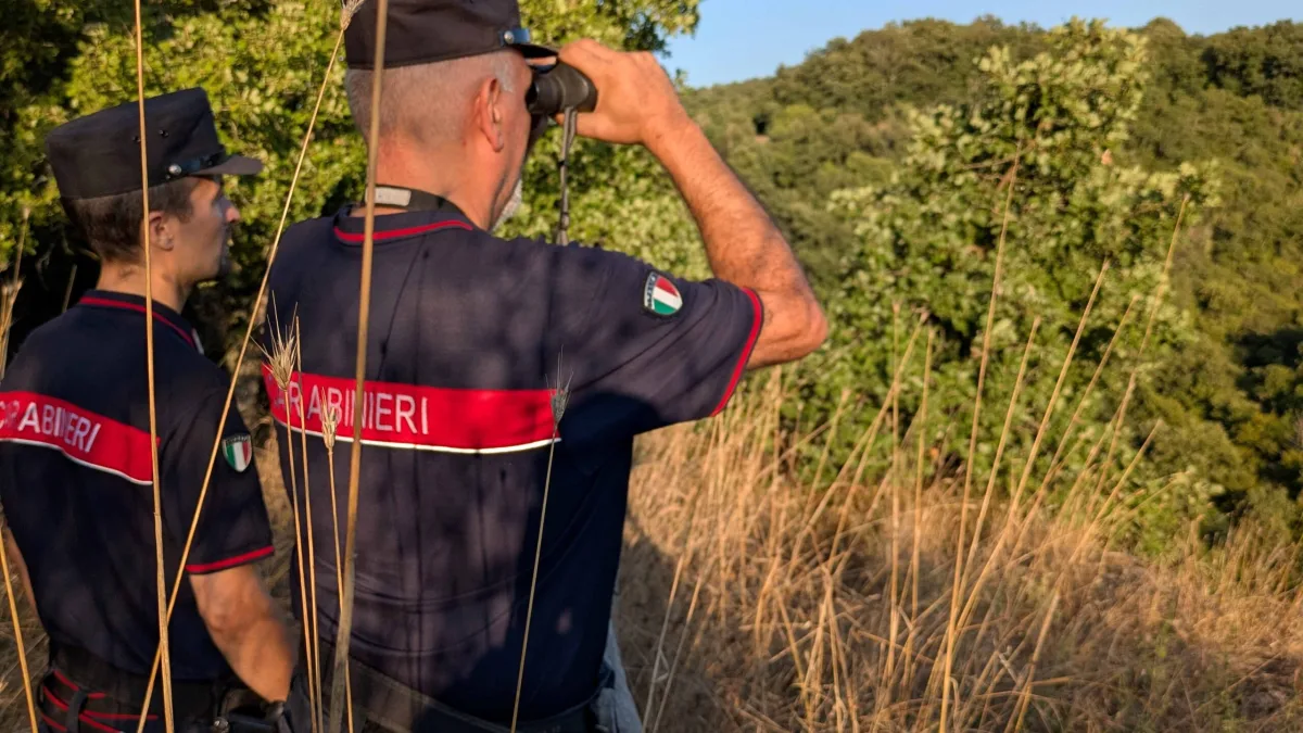 Zagarolo – Abusi sessuali sugli animali di una fattoria didattica: le immagini incastrano un 30enne