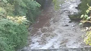 Inquinamento del Rio Pioppeto, riparte il processo