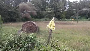 Valle del Sacco, due nuovi studi