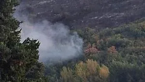Incendio domato: interessati tra i 30 e i 40 ettari di vegetazione