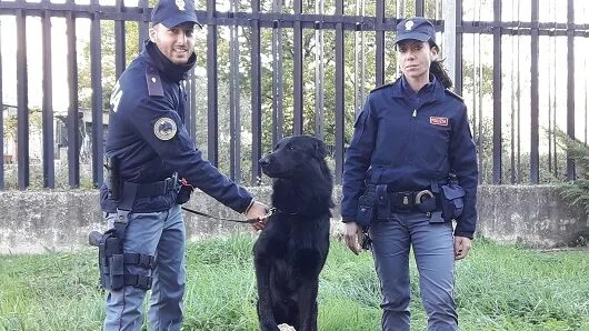 Sora, l’unità cinofila della Polizia di Stato oggi in città: tappa per l’appuntamento dedicato agli amici a 4 zampe