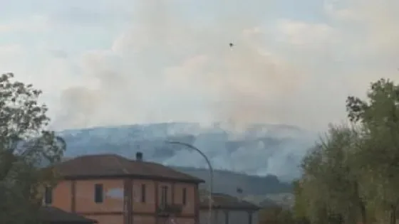 Incendio nella pineta Morroni tra Monte San Giovanni Campano e Castelliri