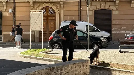 Controlli a Sora e Isola del Liri, due denunce e oltre 1.500 euro di multe