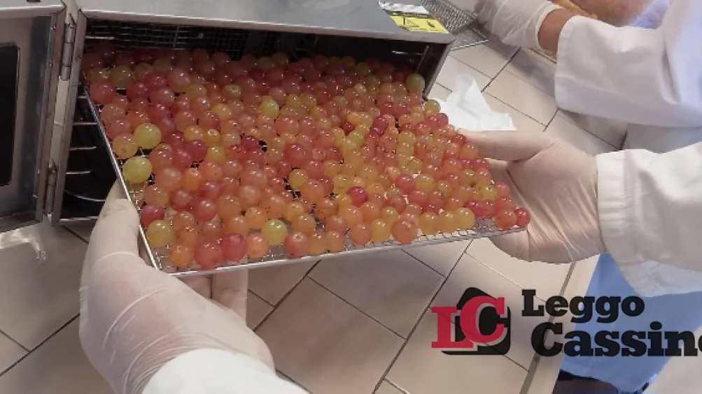 All’IIS San Benedetto di Cassino indirizzo agrario, partono le attività laboratoriali innovative